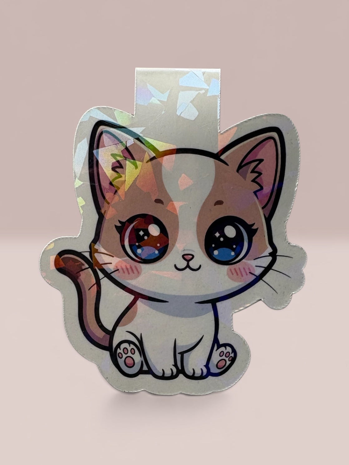 Cutie Kitty